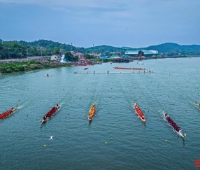 体育直播-关于赛地聚焦：足总杯赛后热度飙升，浙江队单刀错失，悬念犹存，控场能力受关注的信息
