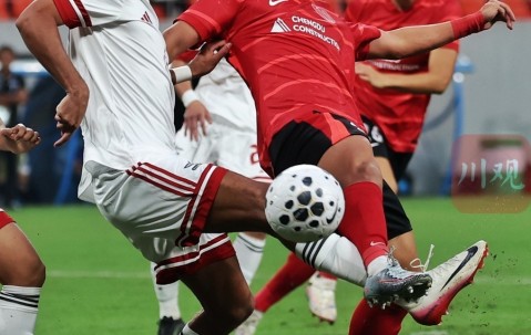 体育直播-成都蓉城训练开放日，赛前主帅复盘引欢呼，欧篮联在即，年轻球员得到机会的简单介绍