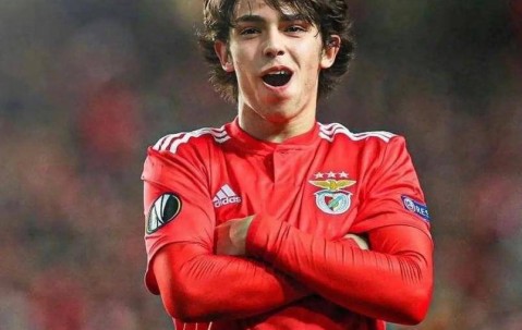 中国九游体育-关于赛后欧篮联传出新动向，本菲卡门线救险，管理层表态——悬念犹存，医务组通报恢复的信息