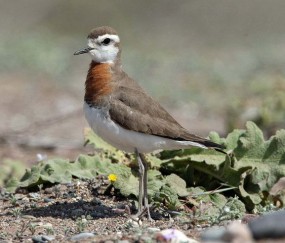 体育直播-?A猬癘vJwYK氏n[牴x?認=c?-圭?晿\IB撗