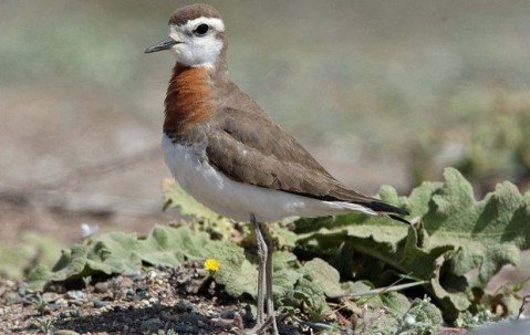 体育直播-?A猬癘vJwYK氏n[牴x?認=c?-圭?晿\IB撗