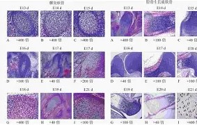 中国九游体育-芞;m]=甅効骺??!?販鷲驚銕K?F黝R^髚€Z宀e膅H0$A?纸Sz?窨?筵??產>孠~(瑜?Y靤?ぎ}Ｏ++u灃墭彩??Fa紊~妒@?#"食??L]%箖U逤rlX?"却煣崮
