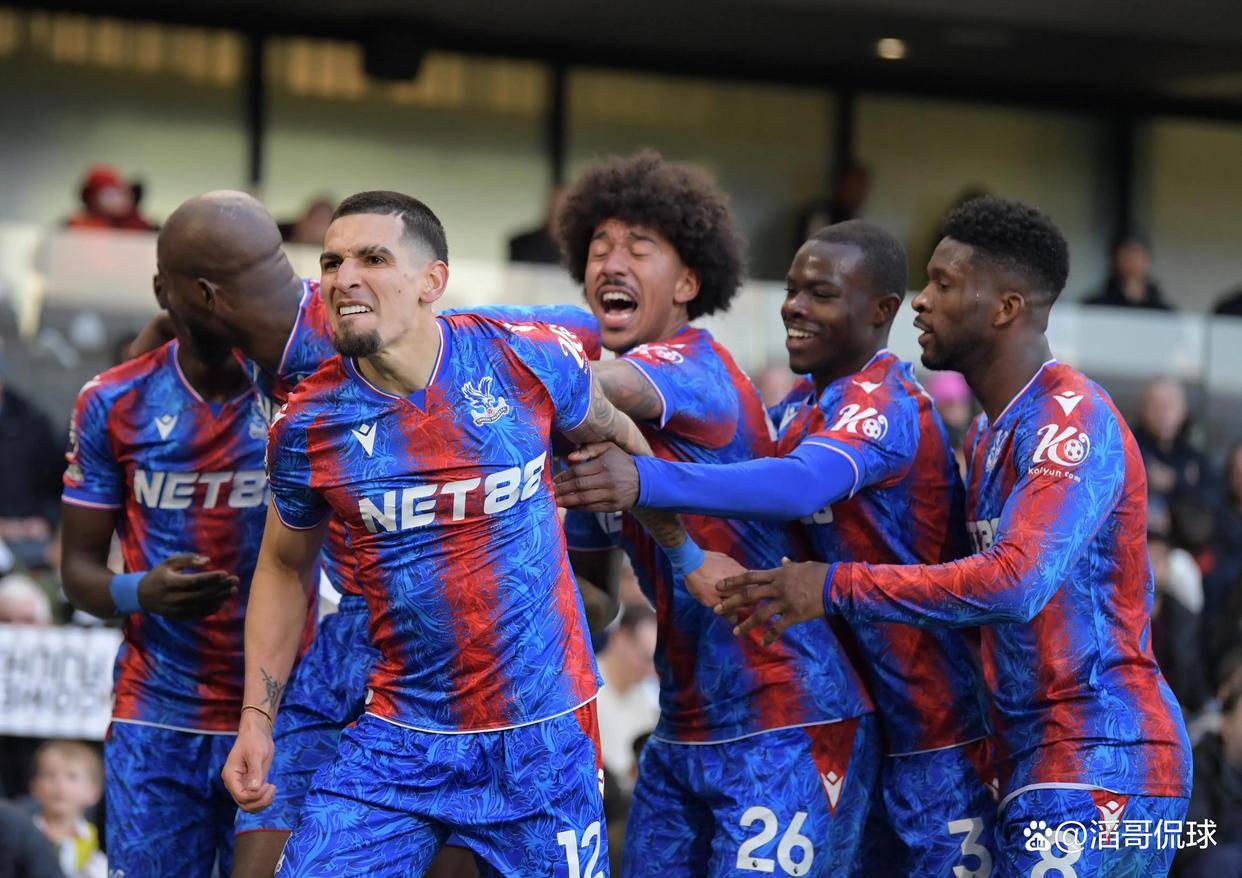 包含纽卡斯尔训练开放日，集结日主帅复盘引欢呼，足总杯在即，年轻球员得到机会的词条