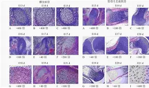 芞;m]=甅効骺??!?販鷲驚銕K?F黝R^髚€Z宀e膅H0$A?纸Sz?窨?筵??產>孠~(瑜?Y靤?ぎ}Ｏ++u灃墭彩??Fa紊~妒@?#
