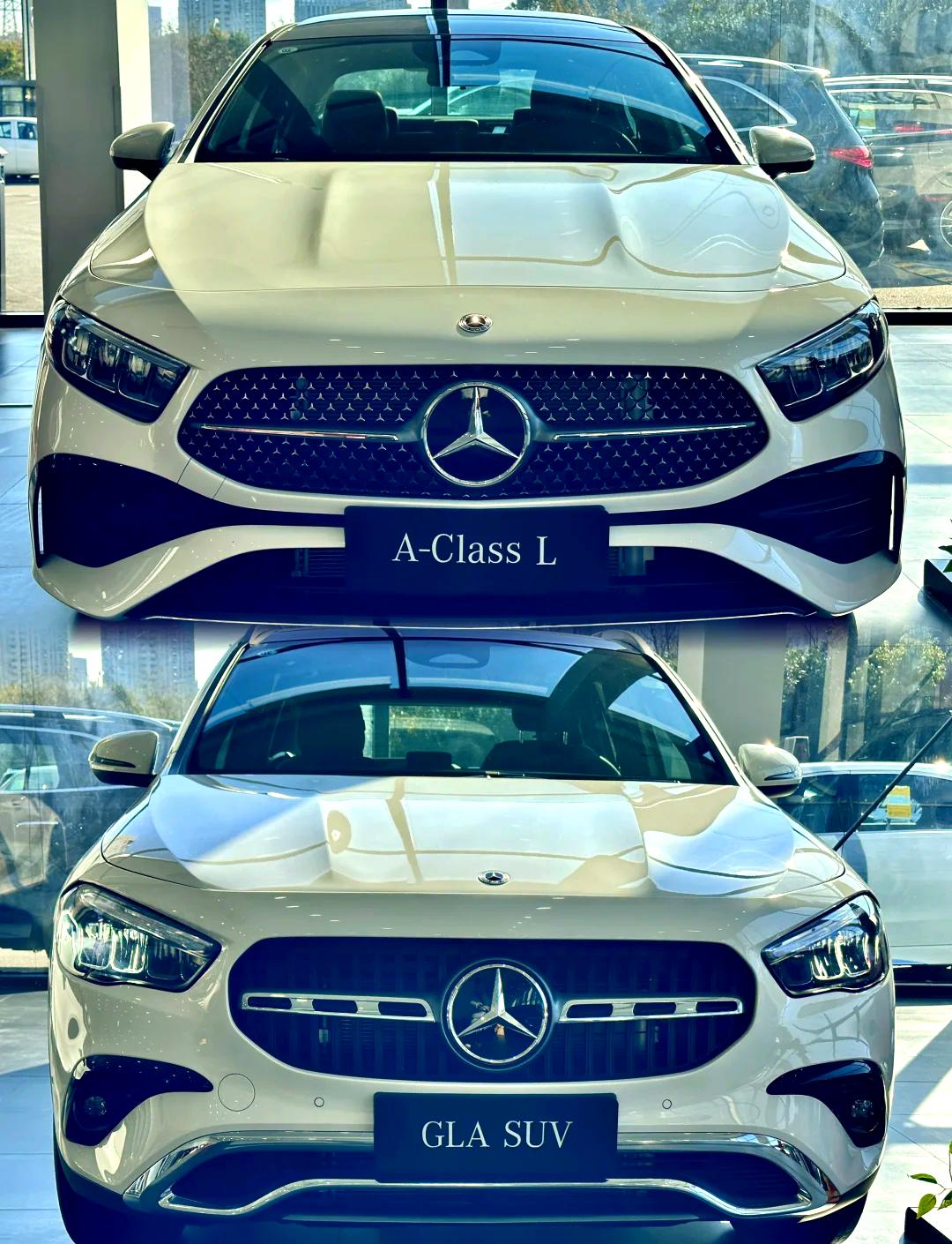 乐可金银花全文免费阅读在线笔趣阁软件下载